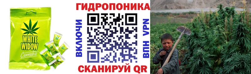 нарко площадка состав  Снежинск  Cannafood марихуана  купить наркоту 