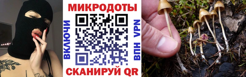 как найти наркотики  мега зеркало  Псилоцибиновые грибы Psilocybe  Снежинск 