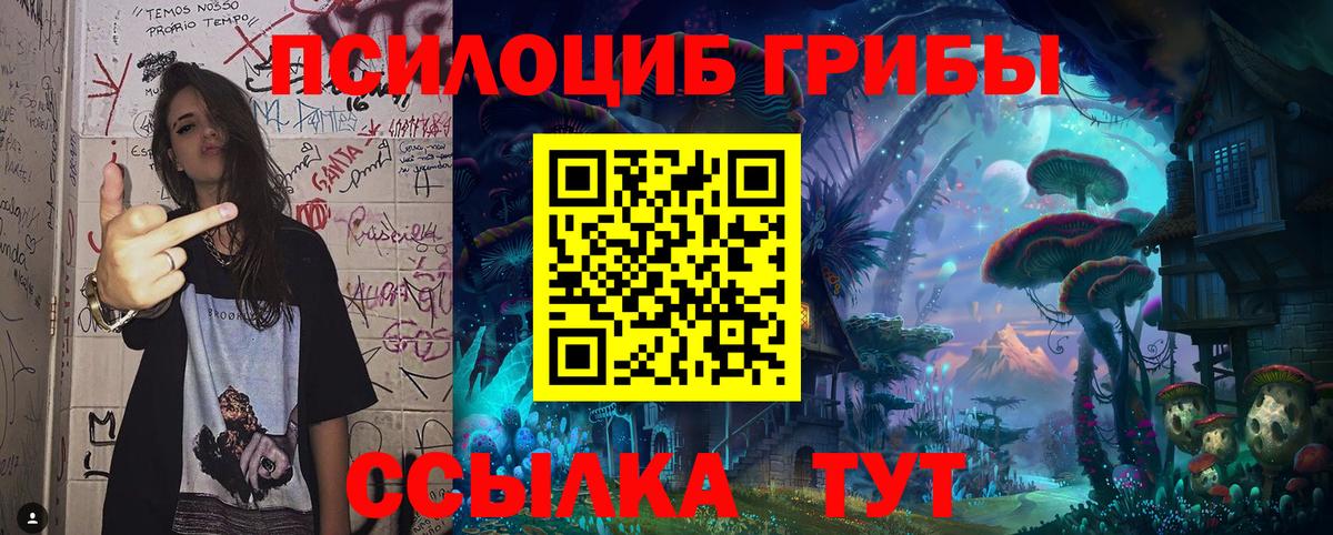 Псилоцибиновые грибы Cubensis Снежинск