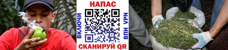 Канабис SATIVA & INDICA  сколько стоит  Снежинск 